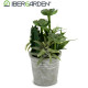 CACTUS ROUND PLANTPOT SET 2