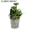 VASO CACTUS PIANTE ROTONDO ASSORT 2