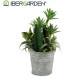 MACETA CACTUS PLANTAS REDONDA SURTIDO 2