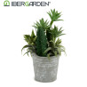 VASO CACTUS PIANTE ROTONDO ASSORT 2