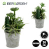 VASO CACTUS PIANTE ROTONDO ASSORT 2