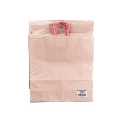SACCHETTO DI CARTA ROSA MED 32X41CM