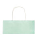 SAC EN PAPIER VERT MENTHE MINI 18X24CM