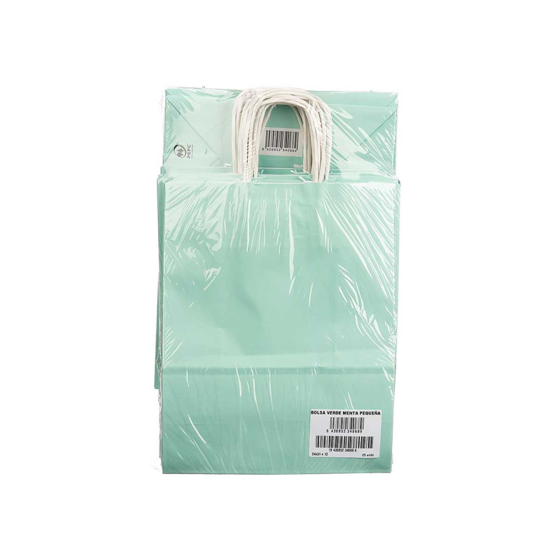 SAC EN PAPIER VERT MENTHE PETIT 24X31CM