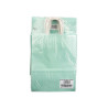 SAC EN PAPIER VERT MENTHE PETIT 24X31CM