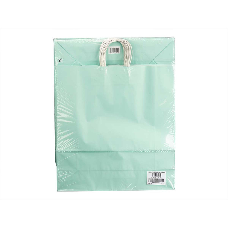 SAC EN PAPIER VERT MENTHE GRAND 46X49CM