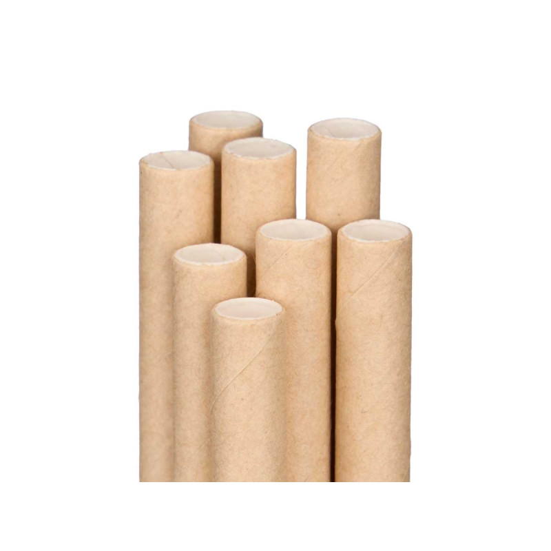 SET 50 PAJITAS KRAFT 