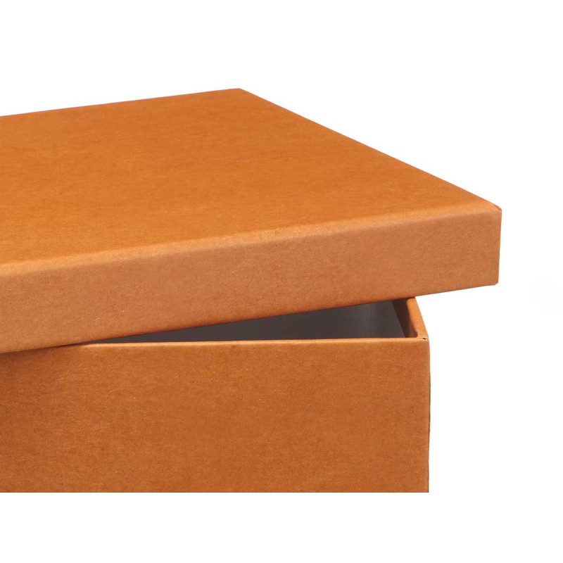 CAJA CARTON SURT 3 COL NEUTRO PEQ