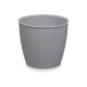 VASO ROTONDO ACADEMY LUX ASS COL