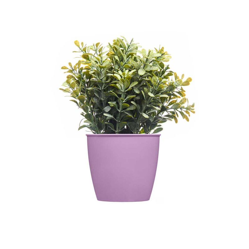 VASO REDONDO ACADEMY LUX SORT COR