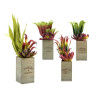 POT DE FLEURS CARRE HAUT BOIS SET 4
