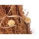 FLORERO ALTO SURT 2 COL