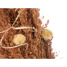 FLORERO ALTO SURT 2 COL