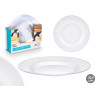 PLATO REDONDO PEQUEÑO TRANSPARENTE 20,5CM DIAM