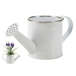 REGADERA BLANCO FILO PLATA
