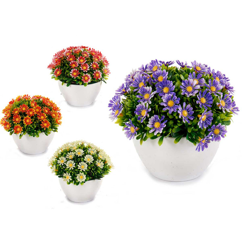 PLANTA FLORES MARGARIDA SORT 4 COR