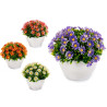 PLANTA FLORES MARGARIDA SORT 4 COR