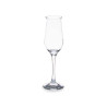 COPA CHAMPAN WAVY 190 ML