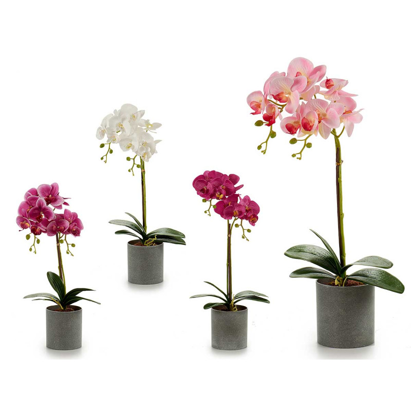 ORCHIDEA VASO ROTONDO GRIGIO 51CM ASS 4C