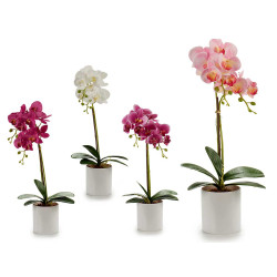 ORCHIDEA VASO ROTONDO BIANCO 51CM AS 4 C