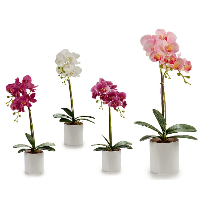 ORCHIDEA VASO ROTONDO BIANCO 51CM AS 4 C
