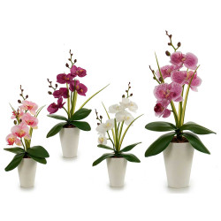 ORQUIDEA VASO CONICO BRANCO 37CM S 4CR
