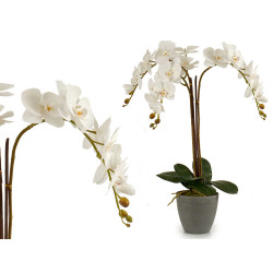 ORCHIDEE POT DE FLEURS CONIQUE GRIS JUMB
