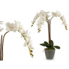 ORQUIDEA BLANCA MACETA CONICA GRIS JUMBO