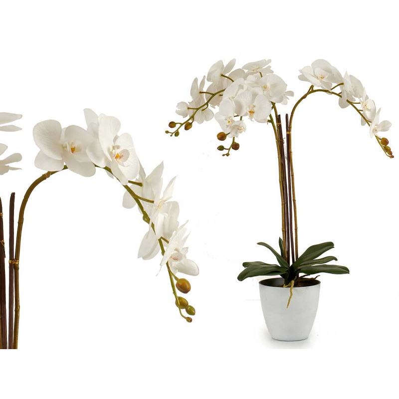 ORCHIDEA VASO CONICO BIANCO JUMBO 1FIORE