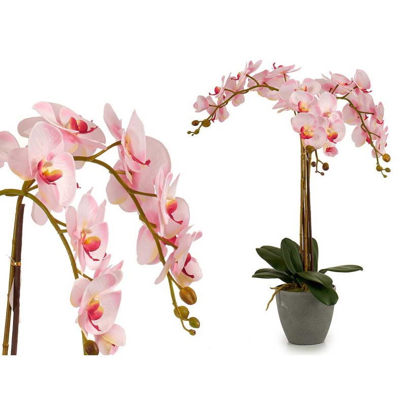 ORQUIDEA VASO CONICO CINZA JUMBO 3FLOR