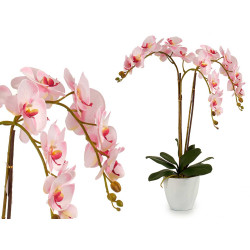 ORCHIDEA VASO CONICO BIANCO JUMBO 3FIORE