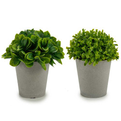 POTTED SHORT LEAFS 2 MODELS GREY