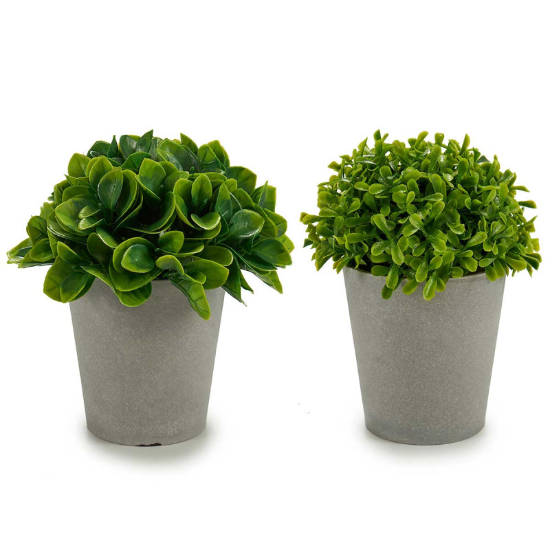 POT DE FLEURS GRIS FEUILLES COURTES 2 MO