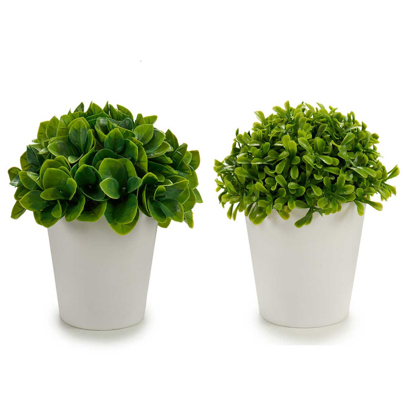 POTTED SHORT LEAFS 1 MODEL WHITE