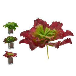 PLANTA FOLHAS ONDULADAS GRANDE 3 COR SOR