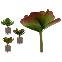 PLANTA FOLHAS REDONDA GRANDE 3 COR SORT