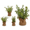 PLANTE BRANCHES SAC BLANC SET 4