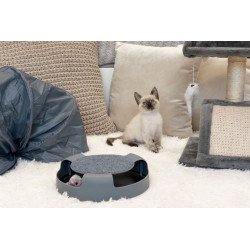 ROUE SOURIS HORIZONTAL GRIS POUR CHAT