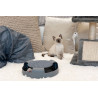 ROUE SOURIS HORIZONTAL GRIS POUR CHAT