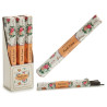 CONJ 6 PACKS 16 BARRAS INCENSO R.