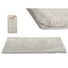 60 X 90 GREY CARPET