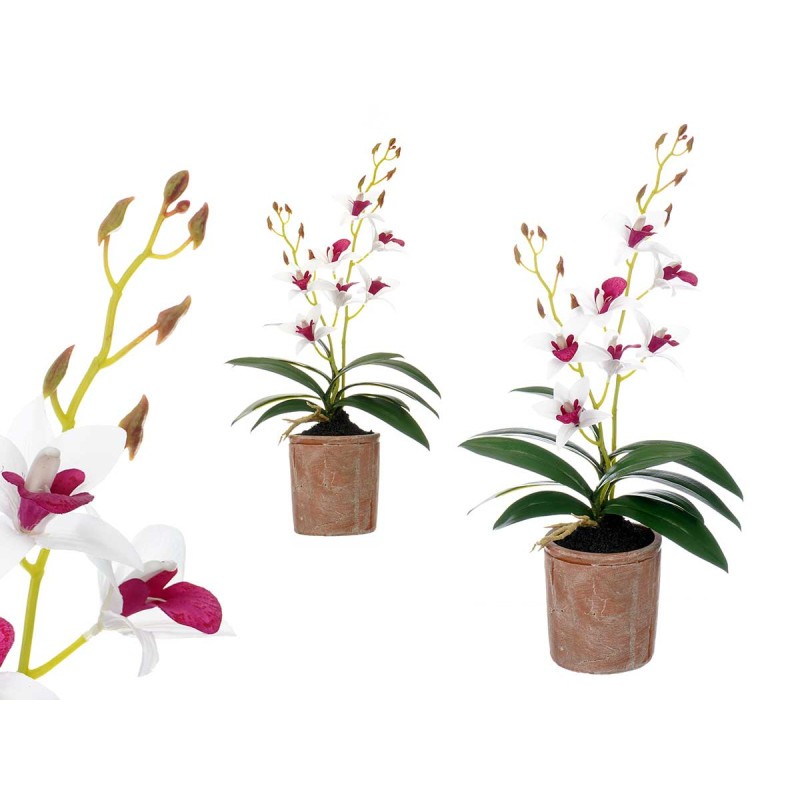 POT EN TERRE CUITE FLEUR BLANC VIOLET