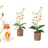 POT EN TERRE CUITE FLEUR BLANC ORANGE 