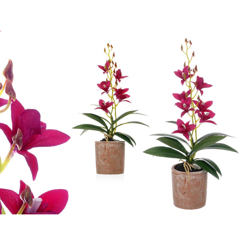 MACETA TERRACOTA FLOR MORADA 