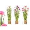 RAMO CORDA 6 FLORES SORT 3 CORES