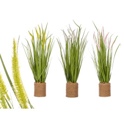 BOUQUET CORDA SPIGHE ASS 3 COLORI