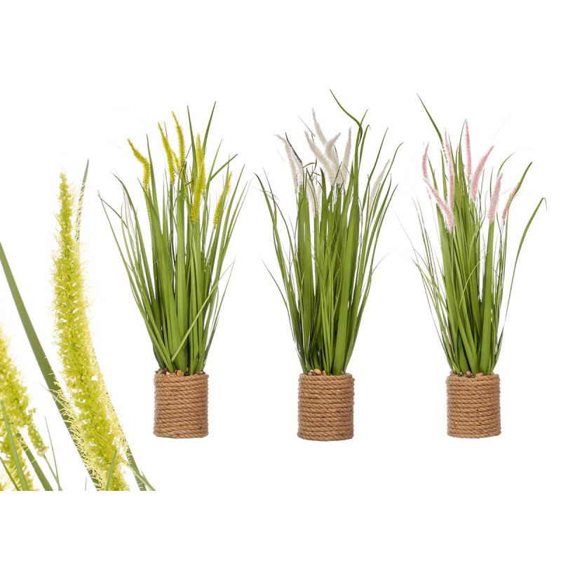 BOUQUET CORDA SPIGHE ASS 3 COLORI