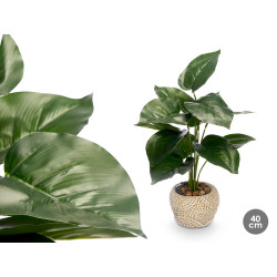 VASO PLANTA 
