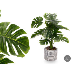 POT PLANT LEAF RIB