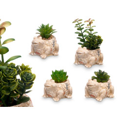 FROG POT ASSORTED 4